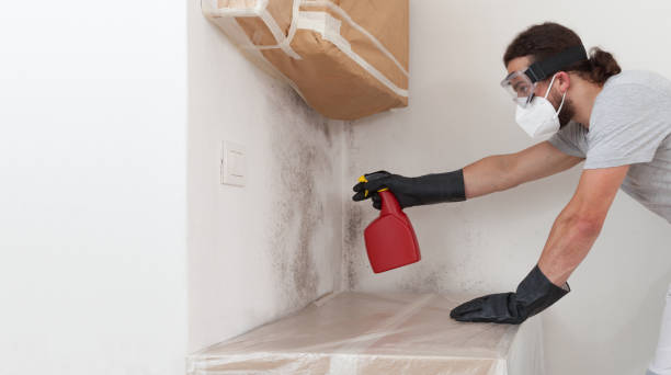 Professional Attic Mold Removal technician working in Cresskill, NJ